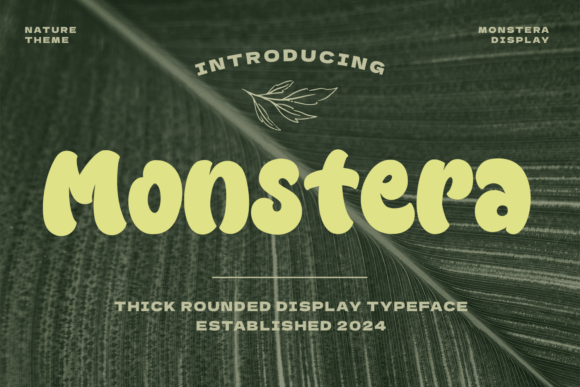 Monstera: A Bold Font for Vibrant Design